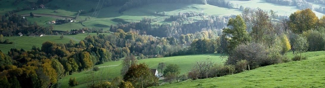 Земельные участки