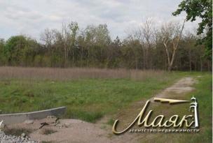 Участок в лесу.