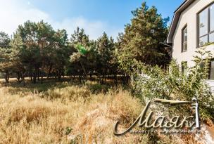 Предлагается к продаже участок, окруженный сосновым лесом.