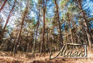 Участок коммерческого назначения в с. Разумовка. 