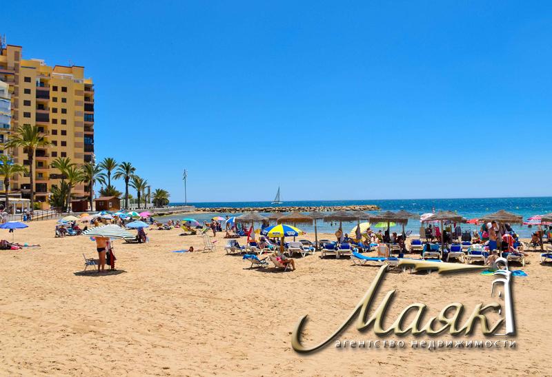 В продаже студия в районе Плая дэль Кура города Торревьеха