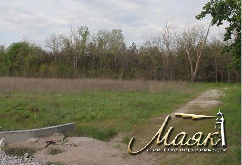 Участок в лесу.