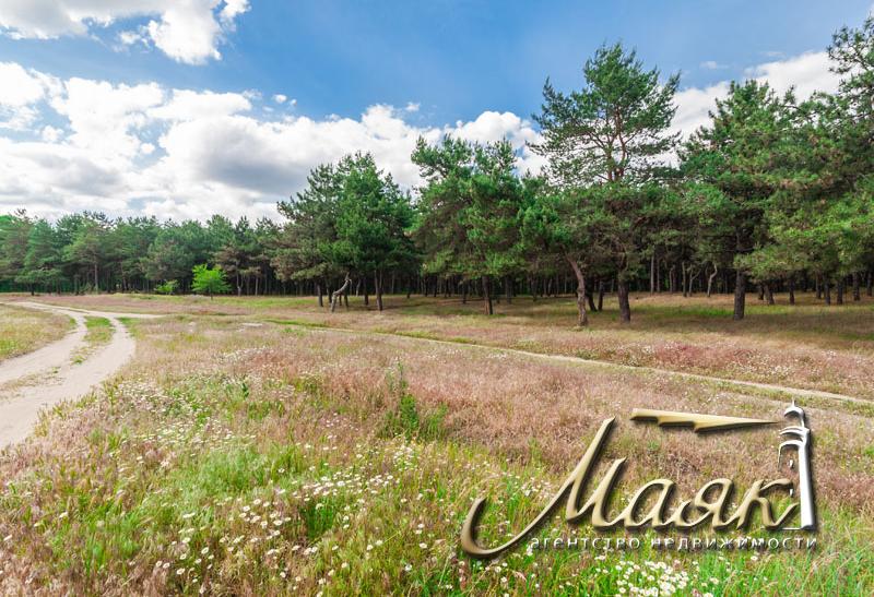 Участок в лесу.